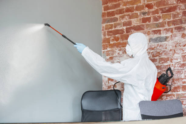 Best Emergency Mold Remediation  in Frenchtown, NJ