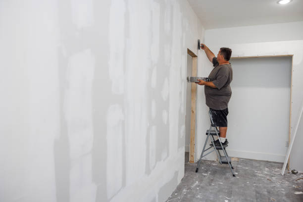  Frenchtown, NJ Mold Removal Pros