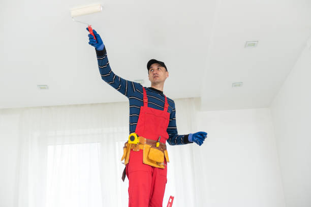 Best Crawl Space Mold Remediation  in Frenchtown, NJ