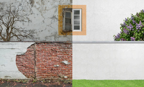 Best Black Mold Removal  in Frenchtown, NJ